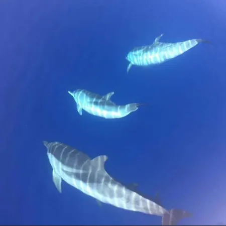 Santa Giulia Σπίτι διακοπών