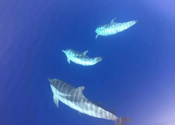 Santa Giulia Сasa de vacaciones